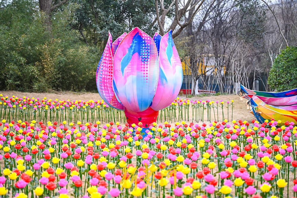 Ȫ�ϻ�����ӭ���������������������ʷ����