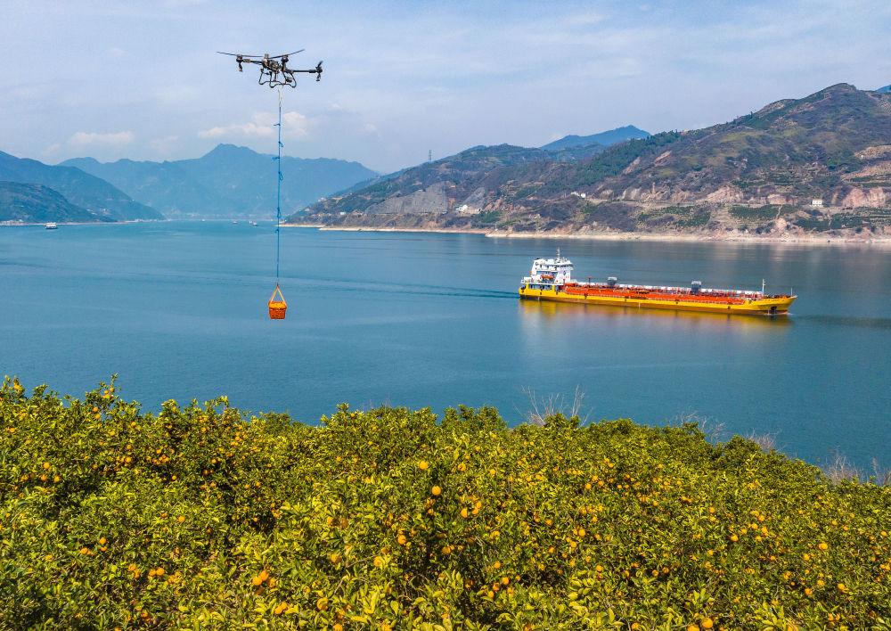 “鱼米之乡”万象新(图7)