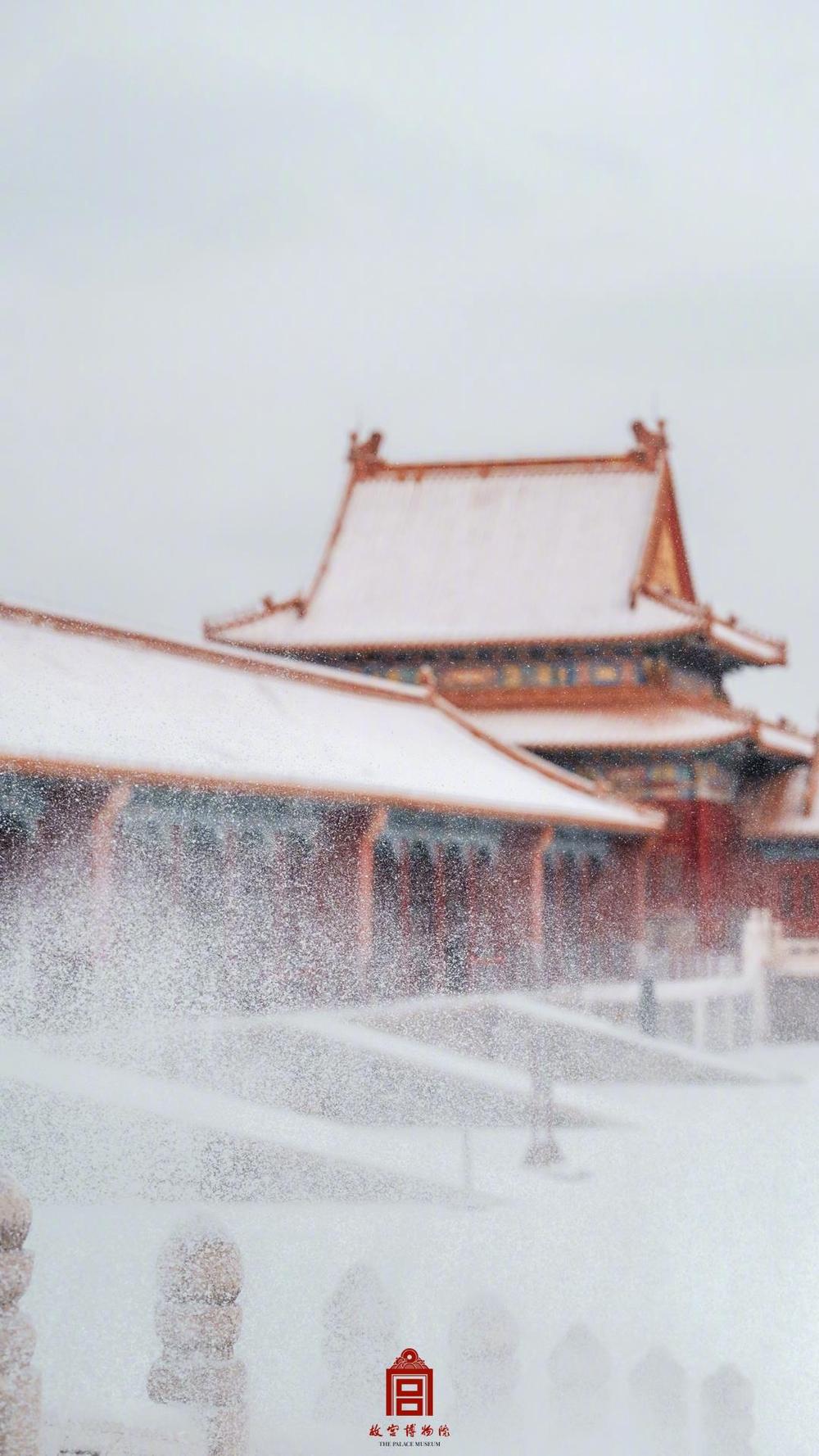 故宫雪景上新！来看鹅毛大雪里的金瓦红墙_央广网