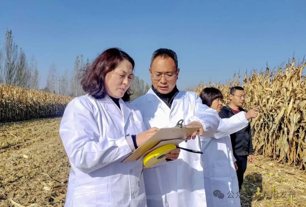 6.寿阳玉米单产屡创全省最高记录.jpg