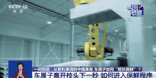 运输耗时近一个月进口车厘子如何保鲜？(图2)