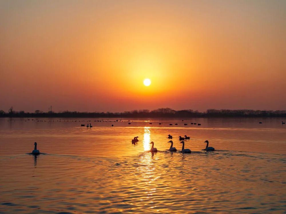 ���DƬ12������������� ���\ƽ �z.jpg