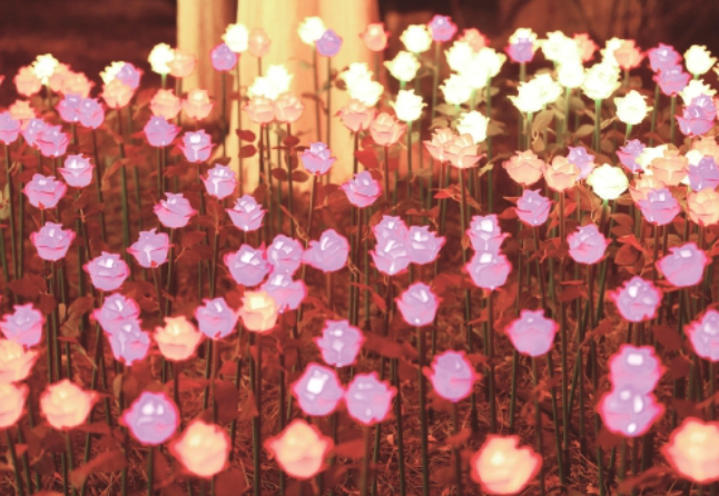 ����̶��԰���������ؾ�