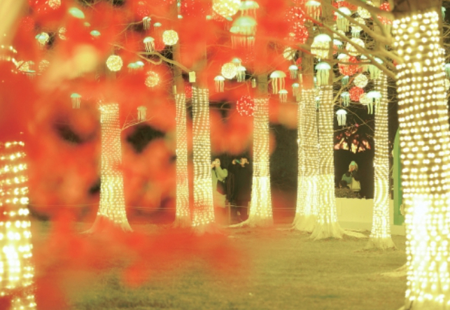 ����̶��԰���������ؾ�