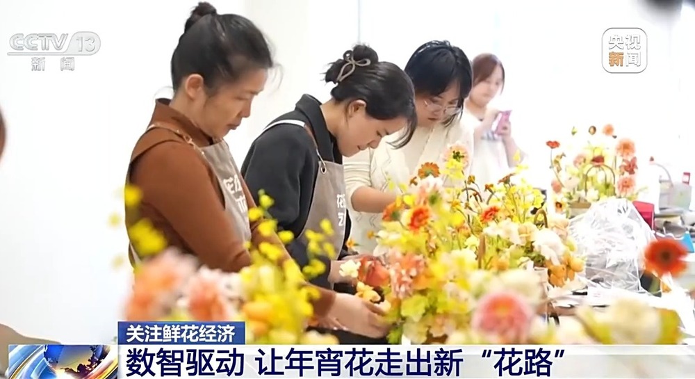 国产花卉怎样“出新”又“出彩”?(图7)
