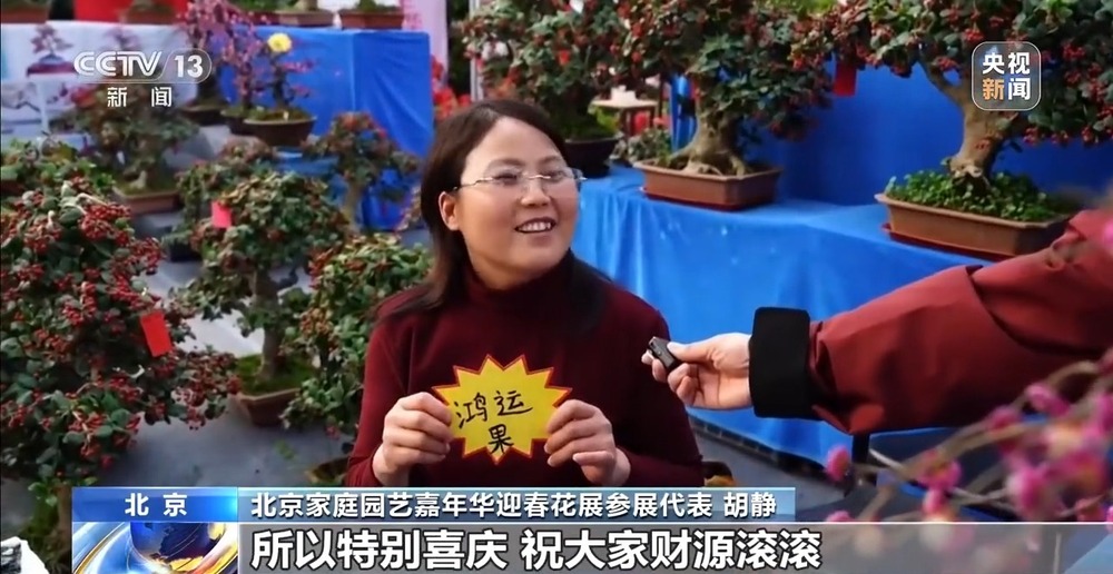 国产花卉怎样“出新”又“出彩”?(图2)