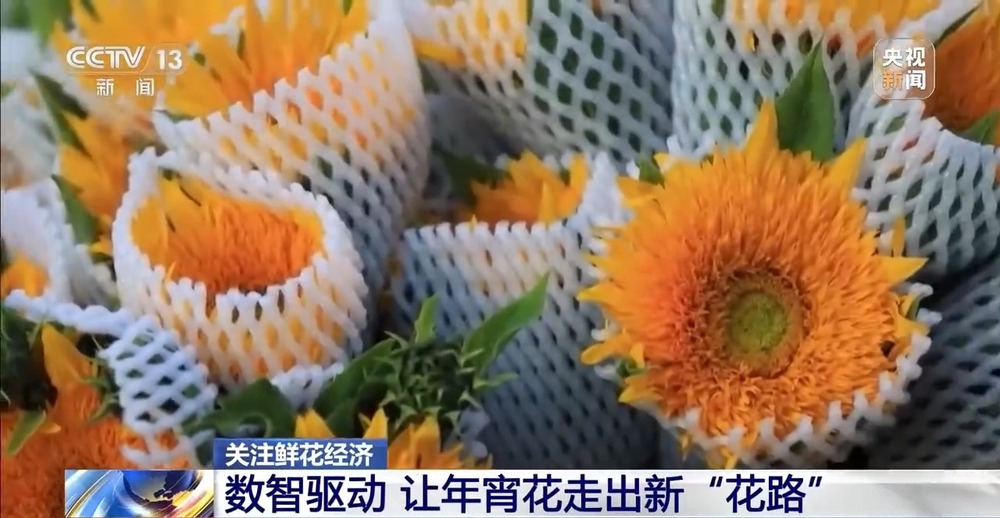 国产花卉怎样“出新”又“出彩”?(图10)