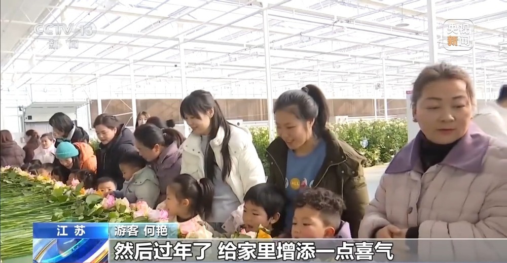 国产花卉怎样“出新”又“出彩”?(图6)