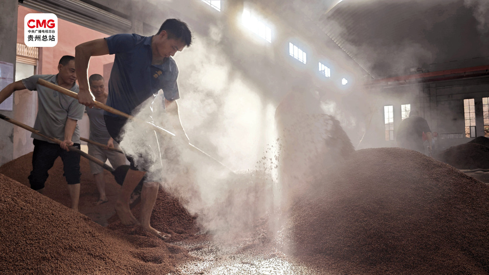 黔·行｜强化比较优势贵州多路径推动经济新增长(图6)