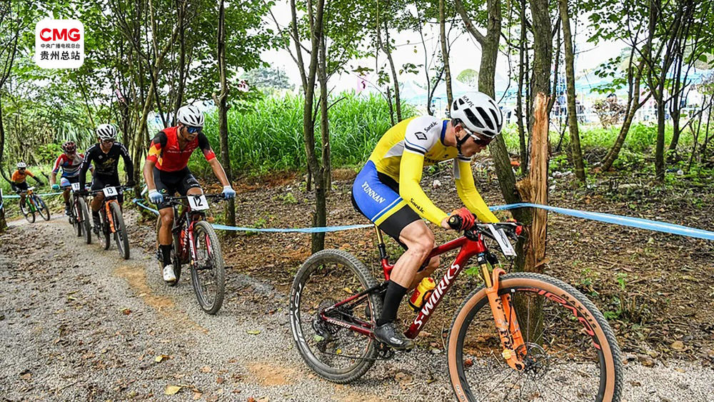 黔·行｜强化比较优势贵州多路径推动经济新增长(图9)