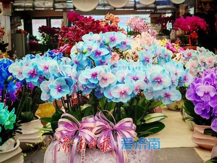 ���������������������� ���ϻ����г�ӭ����ǰ�ɹ����ȡ�