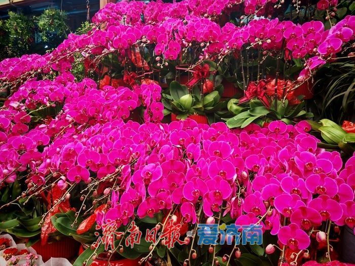 ���������������������� ���ϻ����г�ӭ����ǰ�ɹ����ȡ�