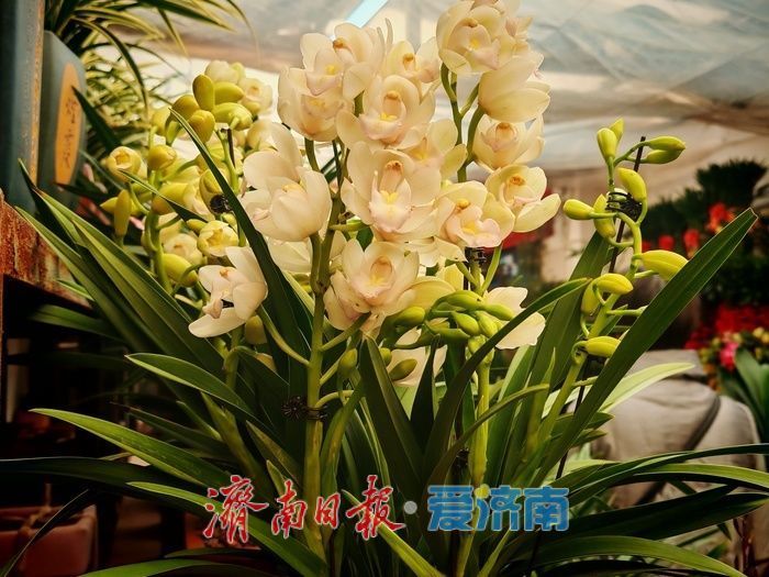 ���������������������� ���ϻ����г�ӭ����ǰ�ɹ����ȡ�