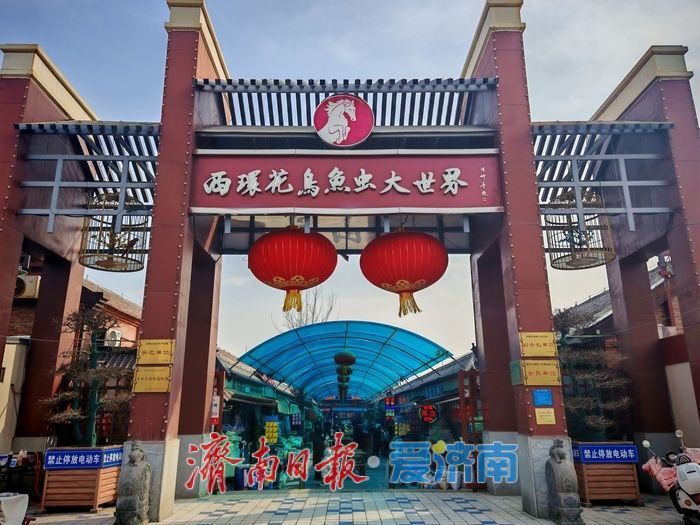 ���������������������� ���ϻ����г�ӭ����ǰ�ɹ����ȡ�