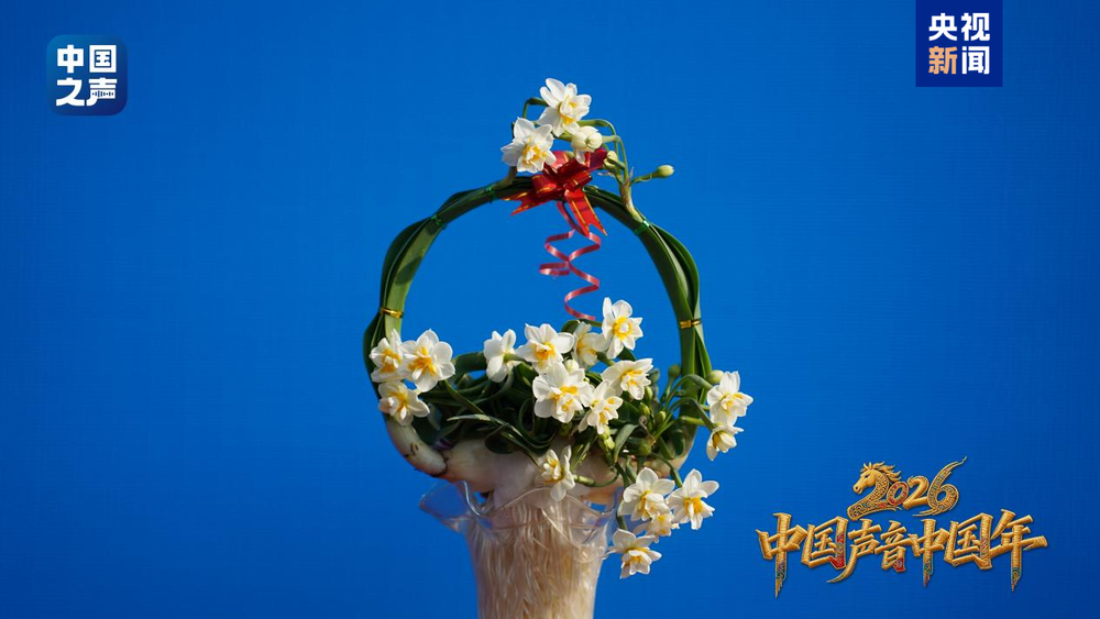 中国声音中国年丨漳州水仙把祝福玩出新“花”样_央广网