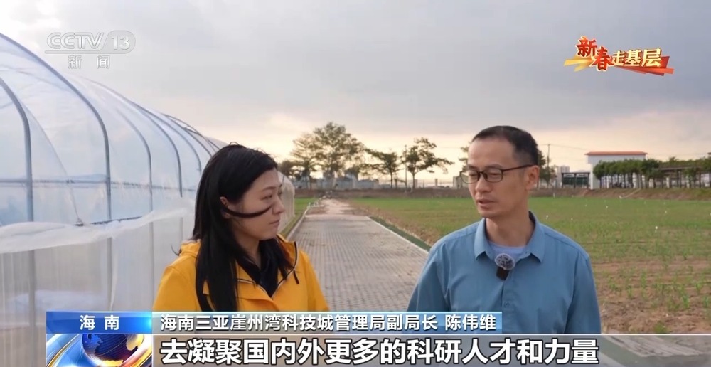 新春走基层丨水稻育种遇上AI老专家与工程师联手“抢花期”(图10)