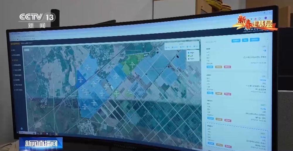 新春走基层丨水稻育种遇上AI老专家与工程师联手“抢花期”(图2)