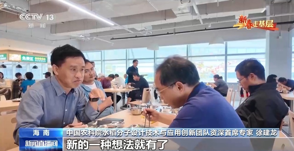 新春走基层丨水稻育种遇上AI老专家与工程师联手“抢花期”(图9)