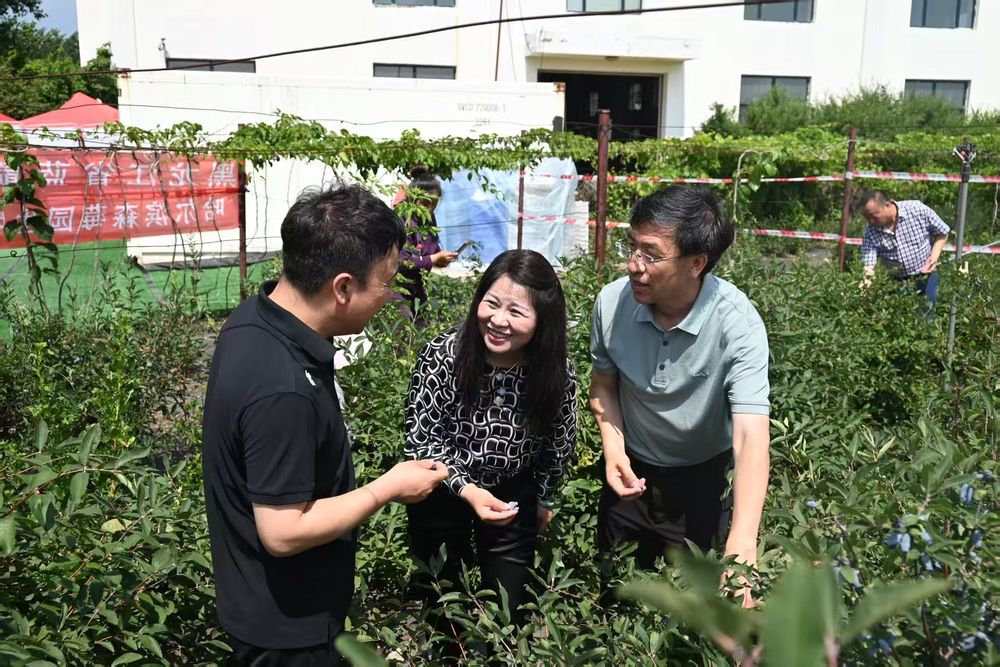 黑龙江：打造践行大食物观先行地