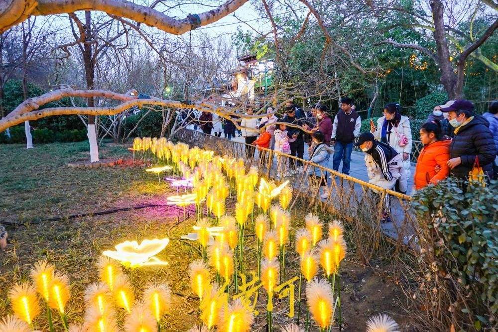 ��������ӳ��Ȫ ���ϵƻ��������������