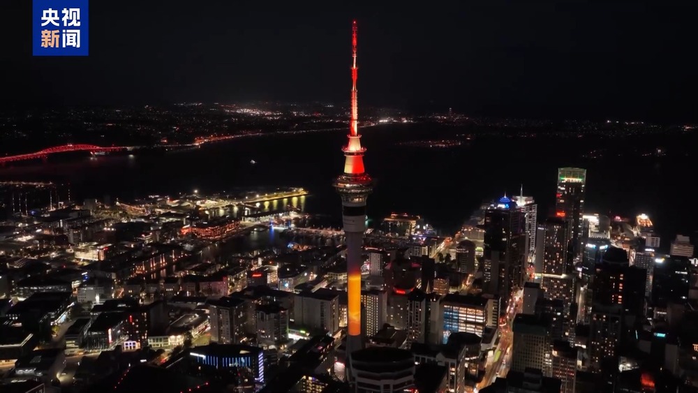 祝福中国年全球多地举办活动共庆新春(图8)