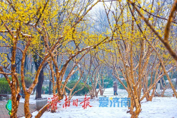 春日信使入雪中畫境