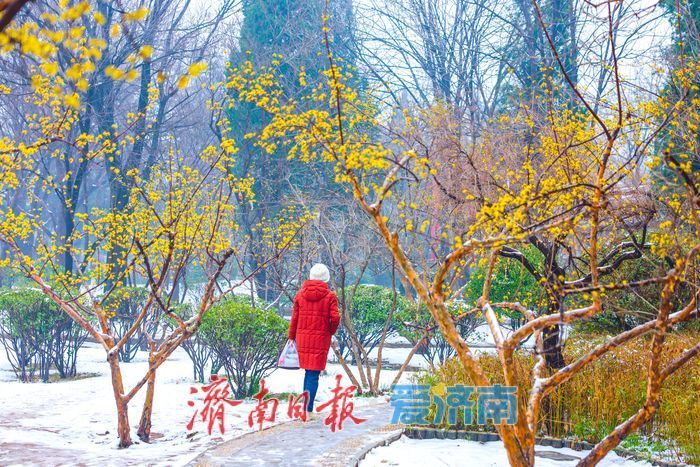 春日信使入雪中畫境