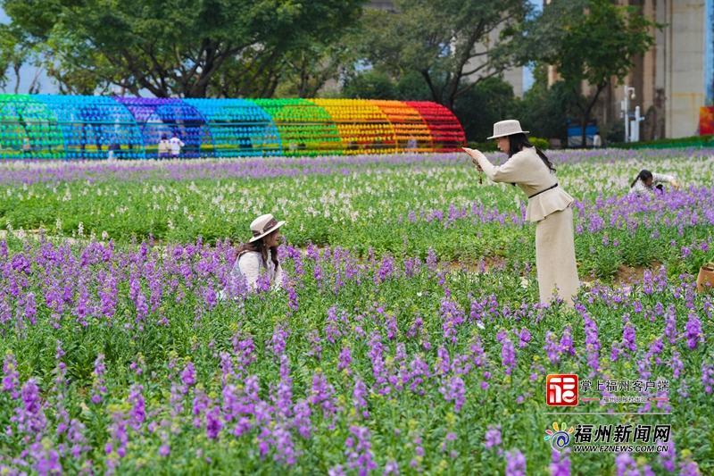 15000ƽ���ף�������Ƭ���_�m����ʢ��ӭԪ��