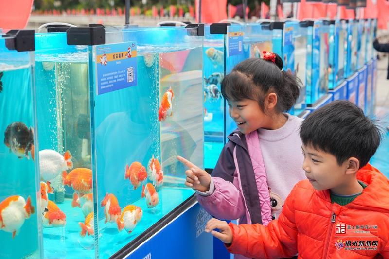 ���´����������������ݽ����¶���