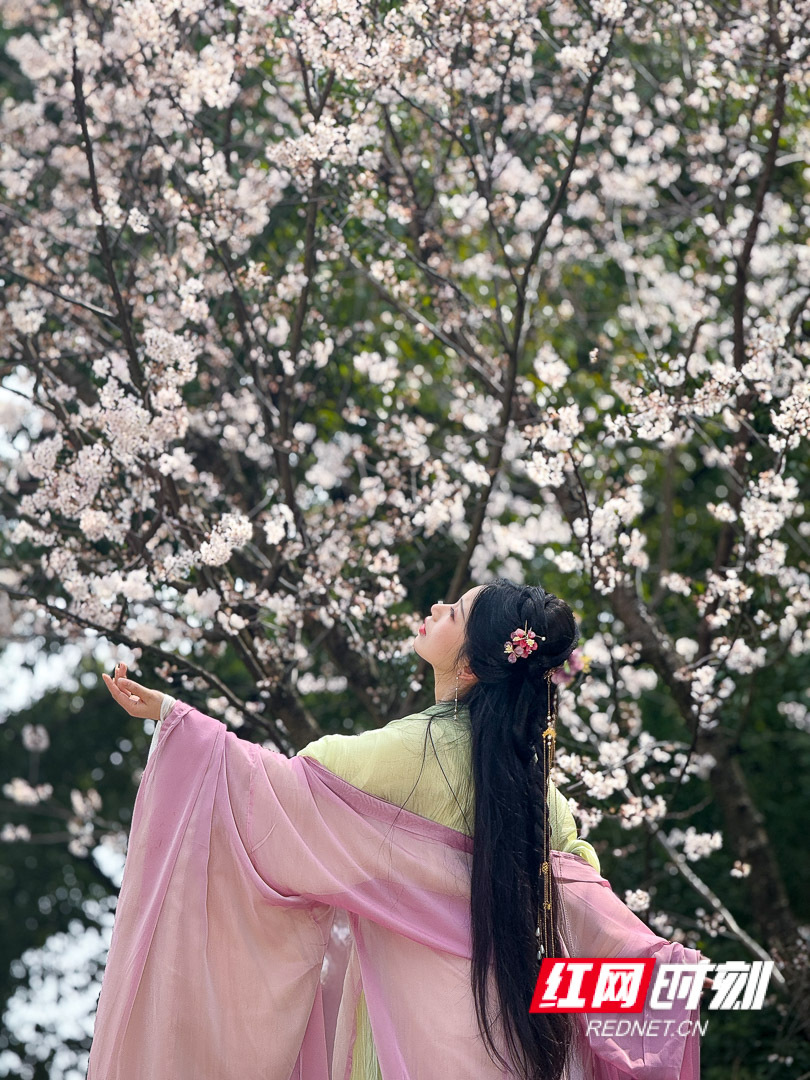 2025-02-28 133020.jpg