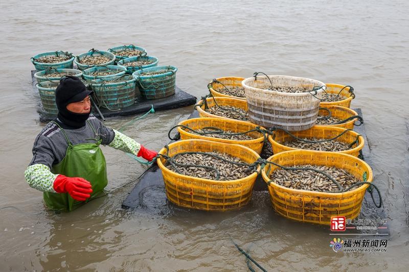 ����������֮�硱���캣�ϴ�����