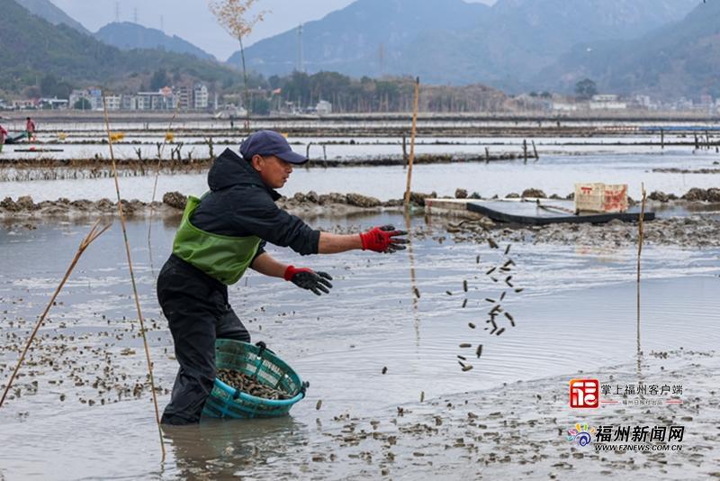 ����������֮�硱���캣�ϴ�����