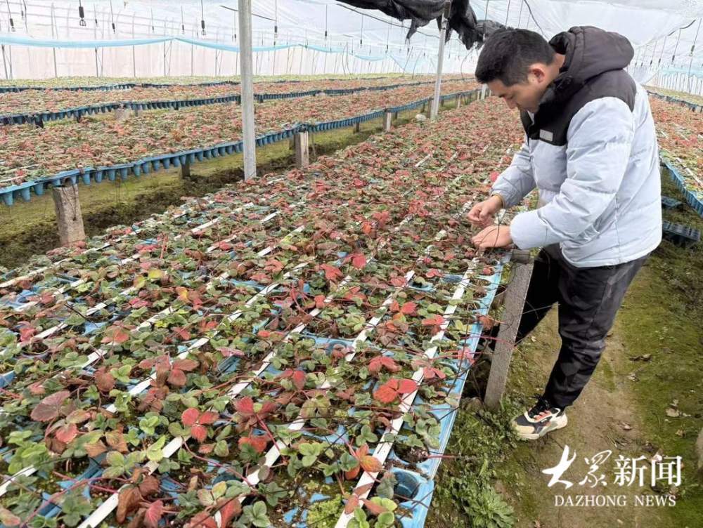 ����30�����ݮ �����90������á���λ�������������