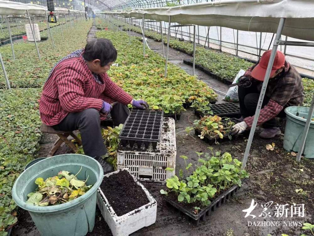 ����30�����ݮ �����90������á���λ�������������