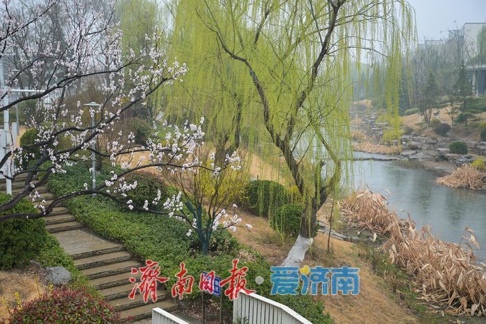 һ���ļ� Ȫ�ڼ��ϣ���ɽ���ϴ����� ���������ɫ��