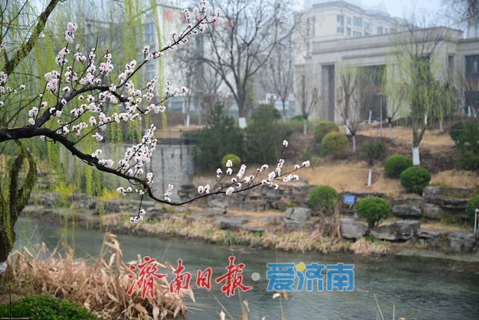 һ���ļ� Ȫ�ڼ��ϣ���ɽ���ϴ����� ���������ɫ��