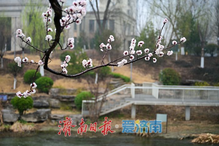 һ���ļ� Ȫ�ڼ��ϣ���ɽ���ϴ����� ���������ɫ��