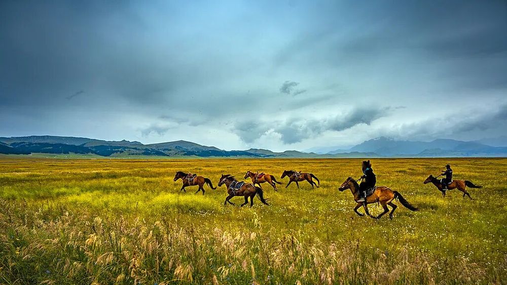机器人入户这些老年人先用起来了(图5)