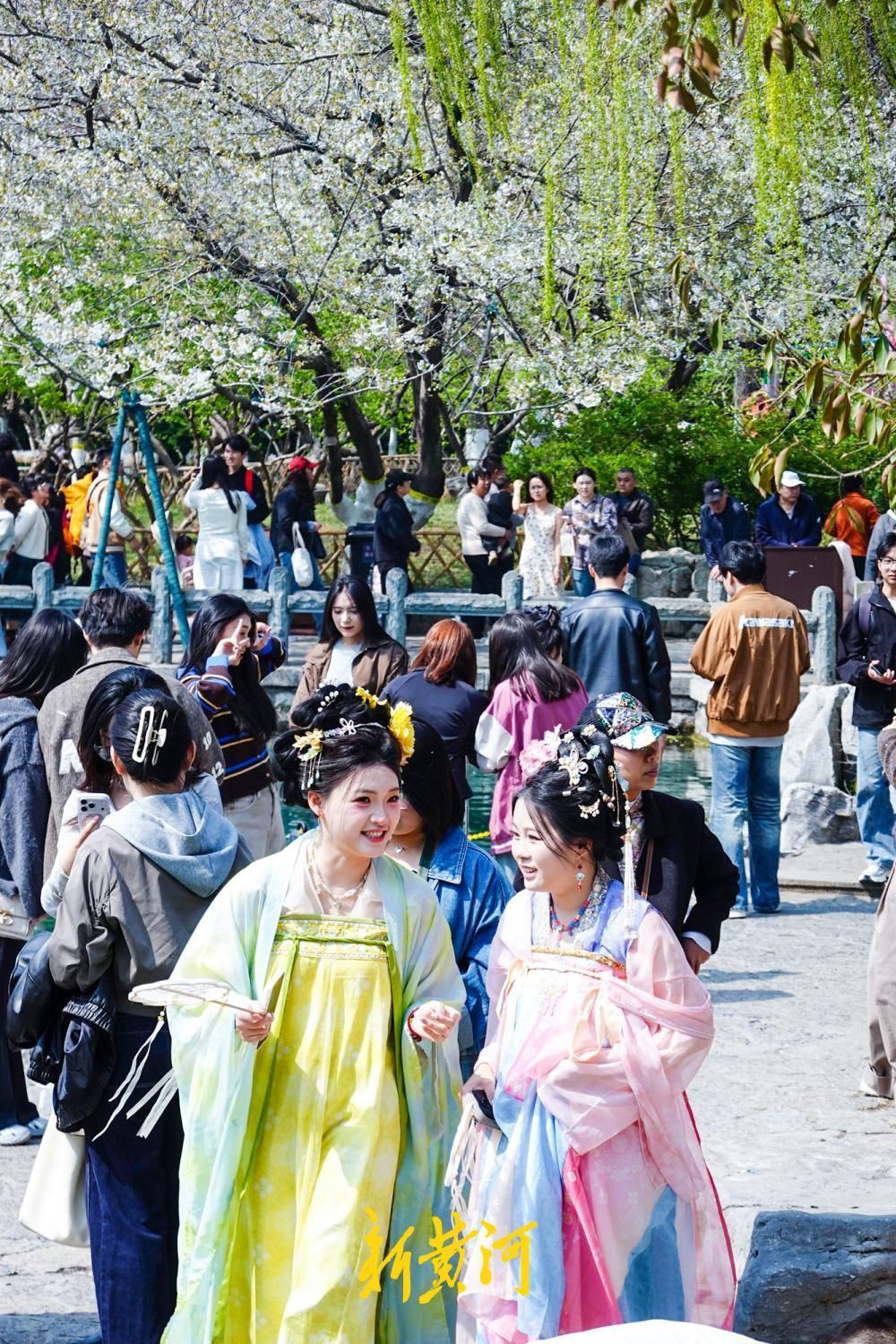 3����Ѯ��Ȫ��ӭ���ͻ��߷�