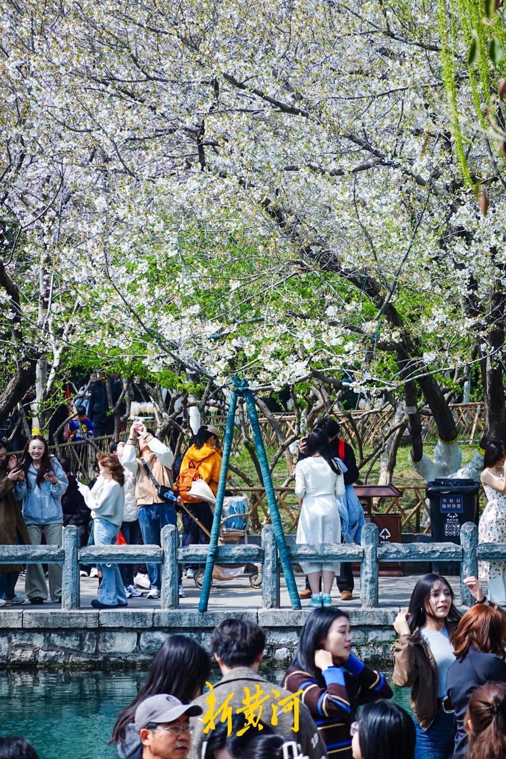 3����Ѯ��Ȫ��ӭ���ͻ��߷�