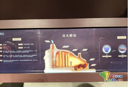 博物馆内的数字展示图