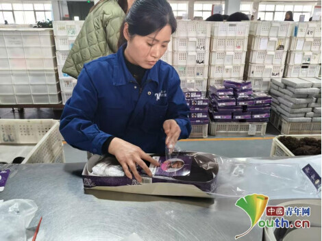 完成车间内工人包装假发