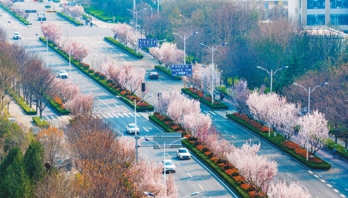 ���ϣ�ӣ����ѩǧ���� ����÷��һ�Ǵ�