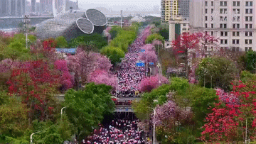 “景”上添花 “体验经济”释放消费新动能(图10)