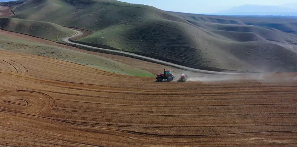 高质量发展“新”速度丨科技赋能引领新疆农业的智慧跨越(图4)