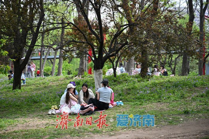 �����׺Ȫ�Ǵ�ɫ ��԰¶Ӫ����ĩ�羰