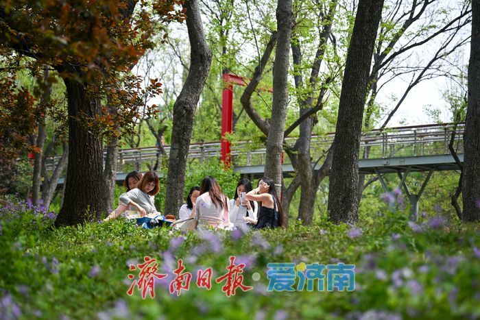 �����׺Ȫ�Ǵ�ɫ ��԰¶Ӫ����ĩ�羰