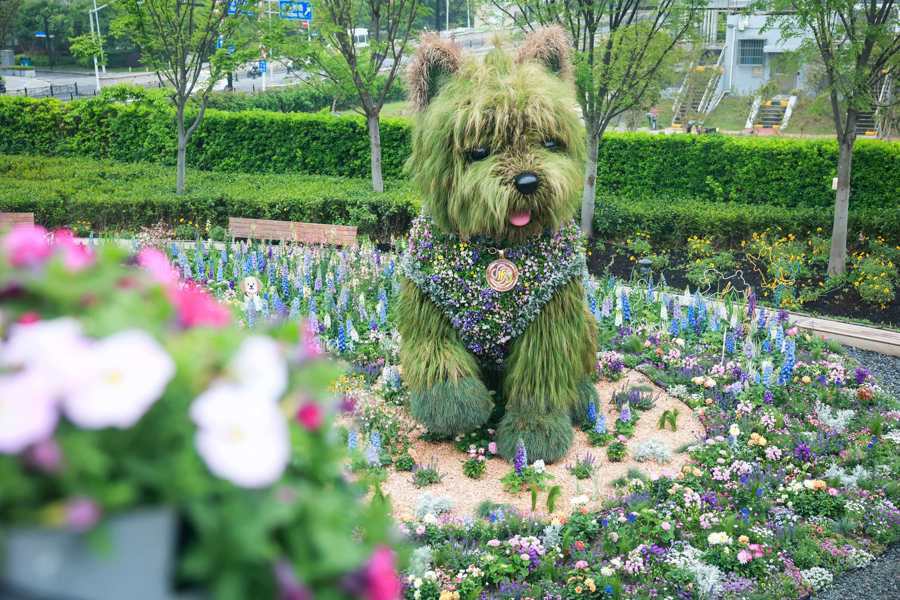 在上海见证“繁花似锦”的能量(图6)