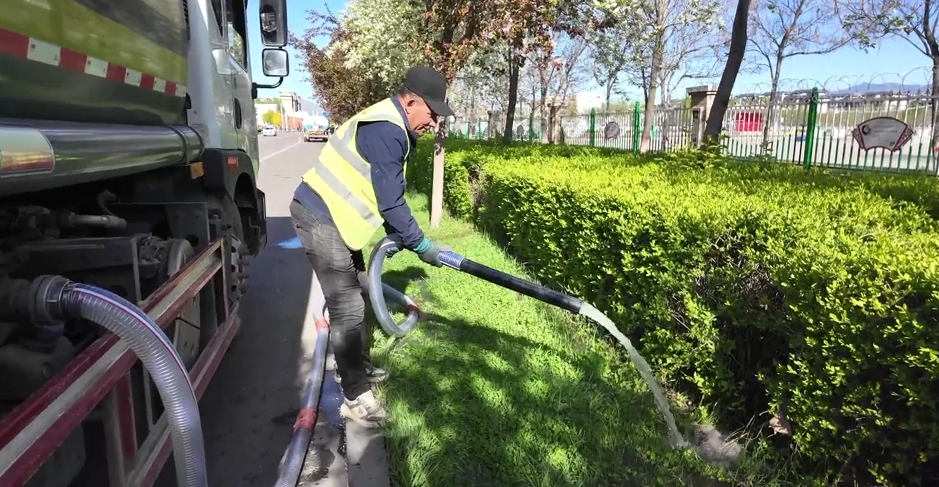 春日增绿扮靓街巷！特克斯绿化养护全面推进中(图3)