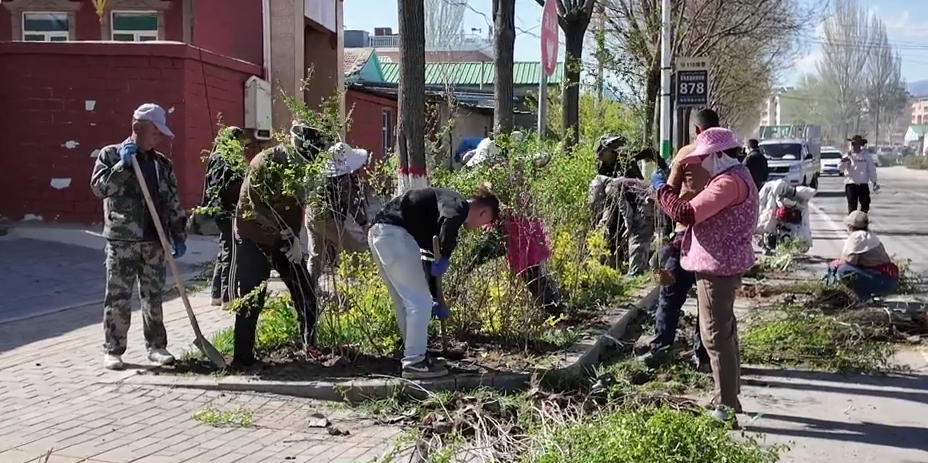 春日增绿扮靓街巷！特克斯绿化养护全面推进中(图1)